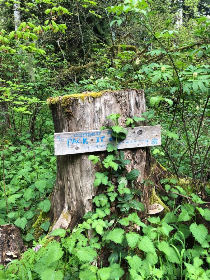 Blackberry Bunkhouse アッシュフォード エクステリア 写真
