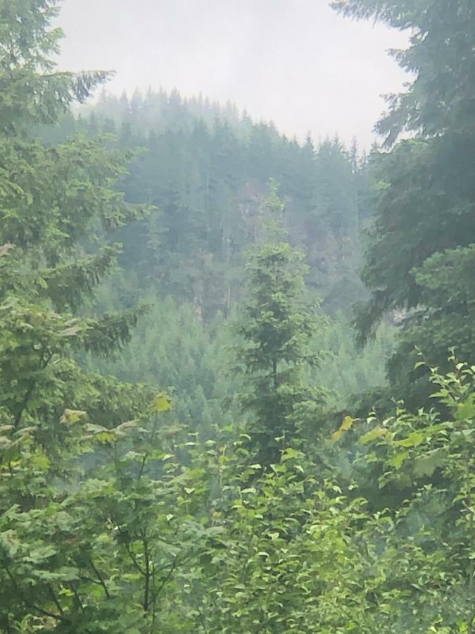 Blackberry Bunkhouse アッシュフォード エクステリア 写真